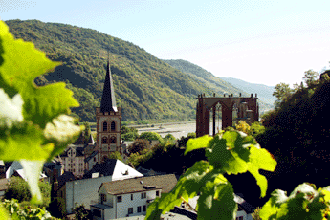 big_12722766_0_330-220